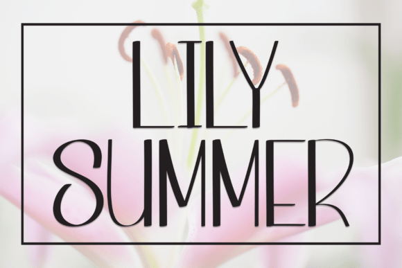 Lily Summer Font for Creative Campaigns
