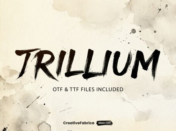Trillium Font for Bold Editorial Design